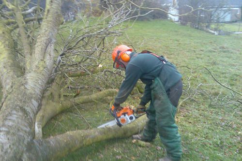 Tree Work Tree Work